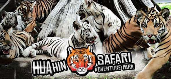 N&T Travel Group | Home II