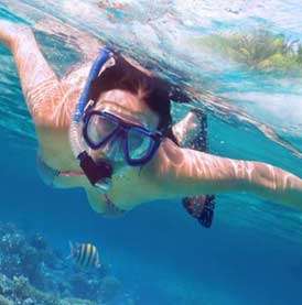 N&T Travel Group | Home II