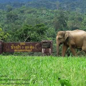 HH06 Hua Hin Day Tour – Kui Buri  National Park & Phraya Nakhon Cave